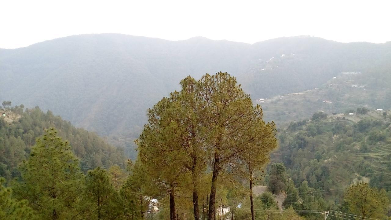 Hotel Emerald Valley Chail Dış mekan fotoğraf